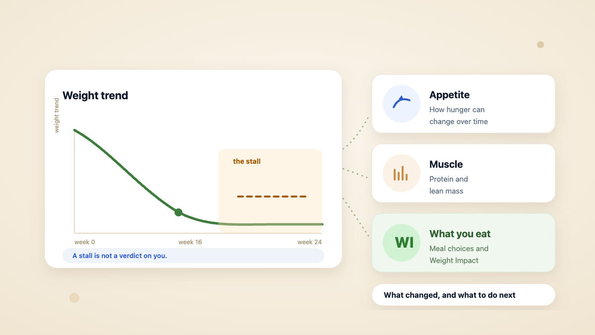Illustrated weight trend line that falls and then flattens into a stall, beside cards for appetite, muscle and what you eat